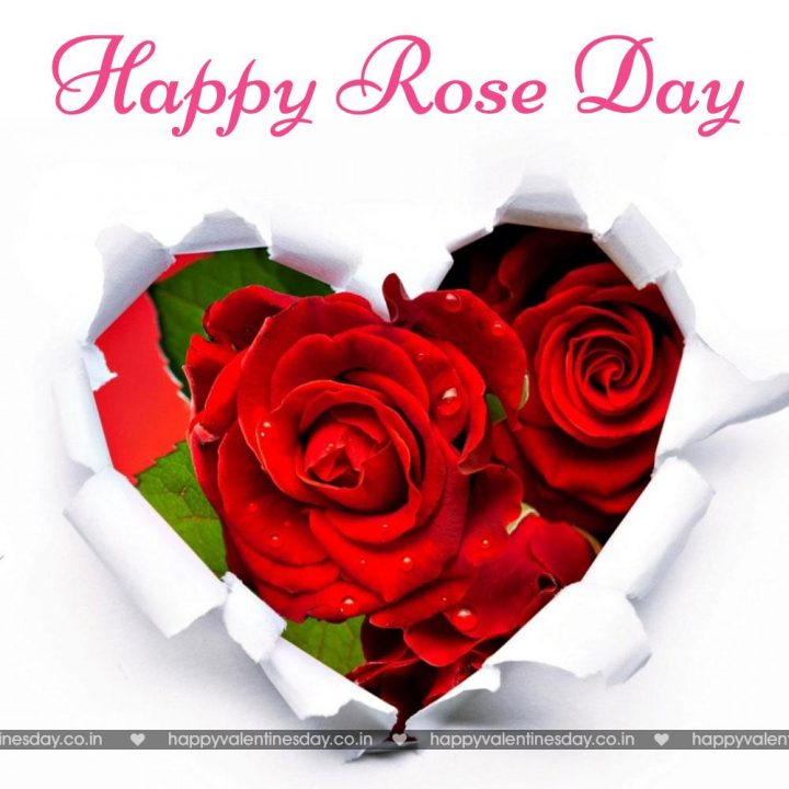 Rose Day – send an ecard