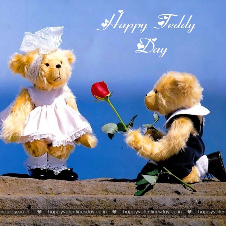 Teddy Day