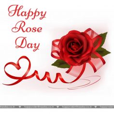 Rose Day – happy valentines day to friends