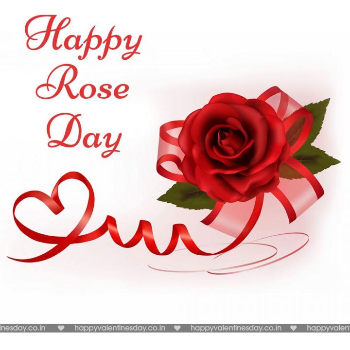 Rose Day – happy valentines day to friends