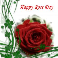 Rose Day – free valentine day cards
