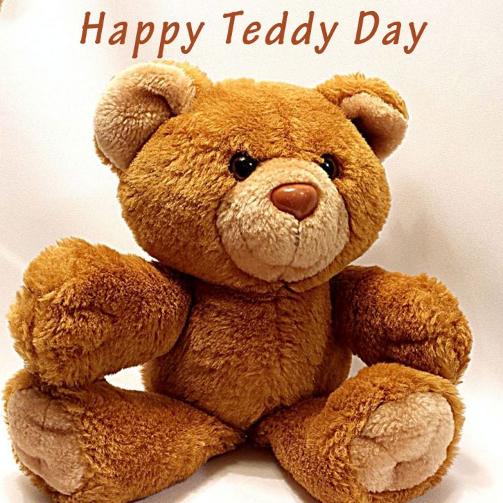 Teddy Day