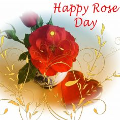 Rose Day – happy valentines day to my friends