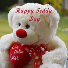 Teddy Day