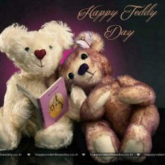 Teddy Day