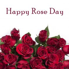 Rose Day