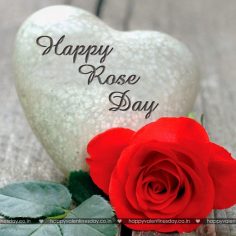 Rose Day – love ecards