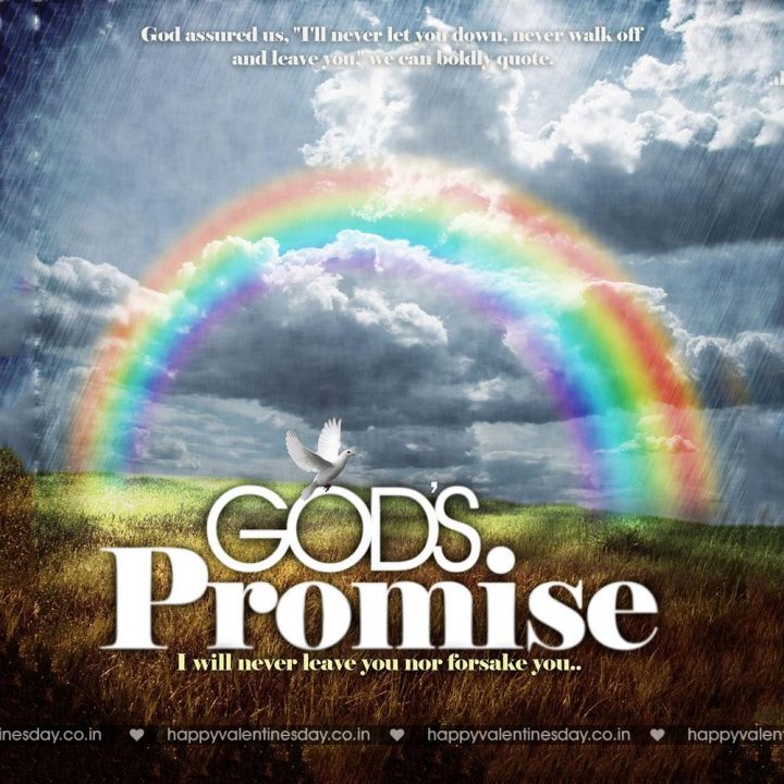 Promise Day – valentines day pictures images photos