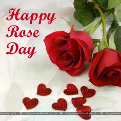 Rose Day – happy valentine day greetings
