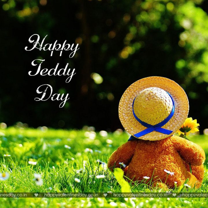 Teddy Day