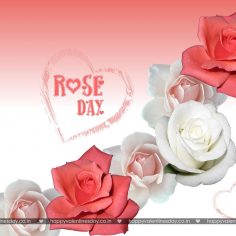 Rose Day – happy valentines day video card
