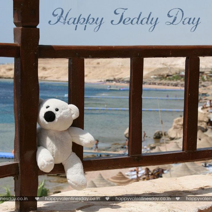 Teddy Day