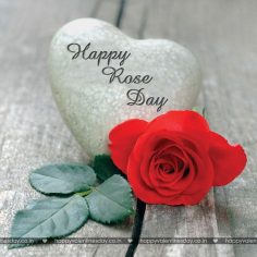 Rose Day – happy valentines day sms messages