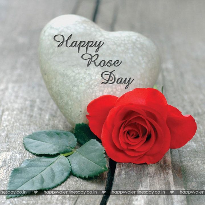 Rose Day – happy valentines day sms messages