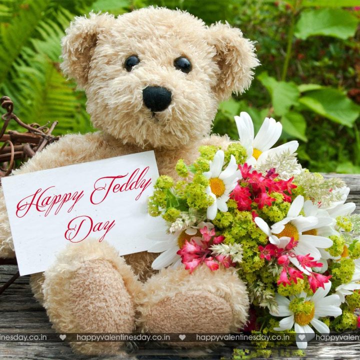 Teddy Day