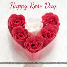 Rose Day – free thank you cards