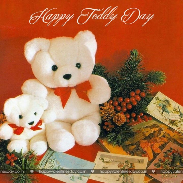 Teddy Day