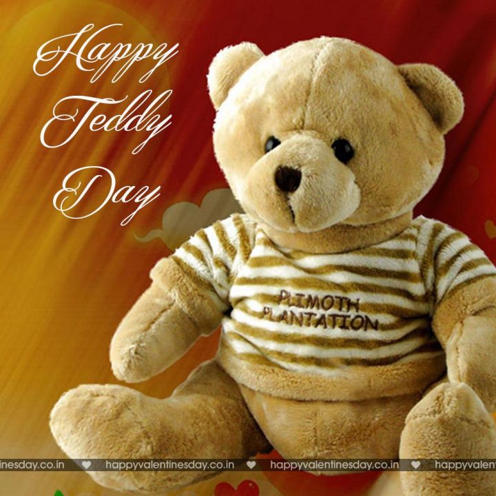 Teddy Day