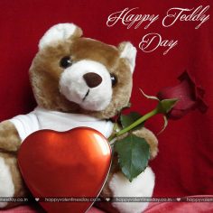 Teddy Day