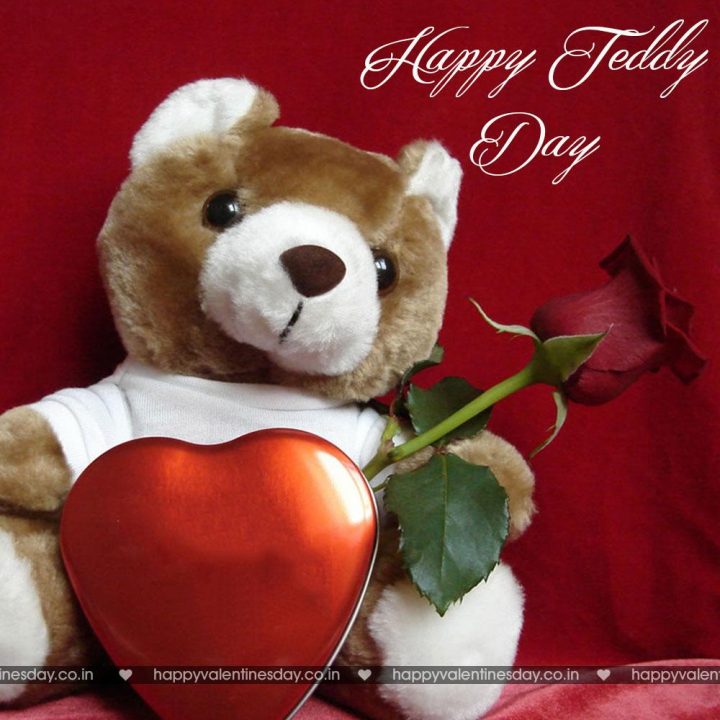 Teddy Day