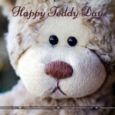 Teddy Day – photos of valentines day