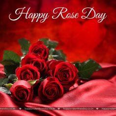 Rose Day – free greeting cards