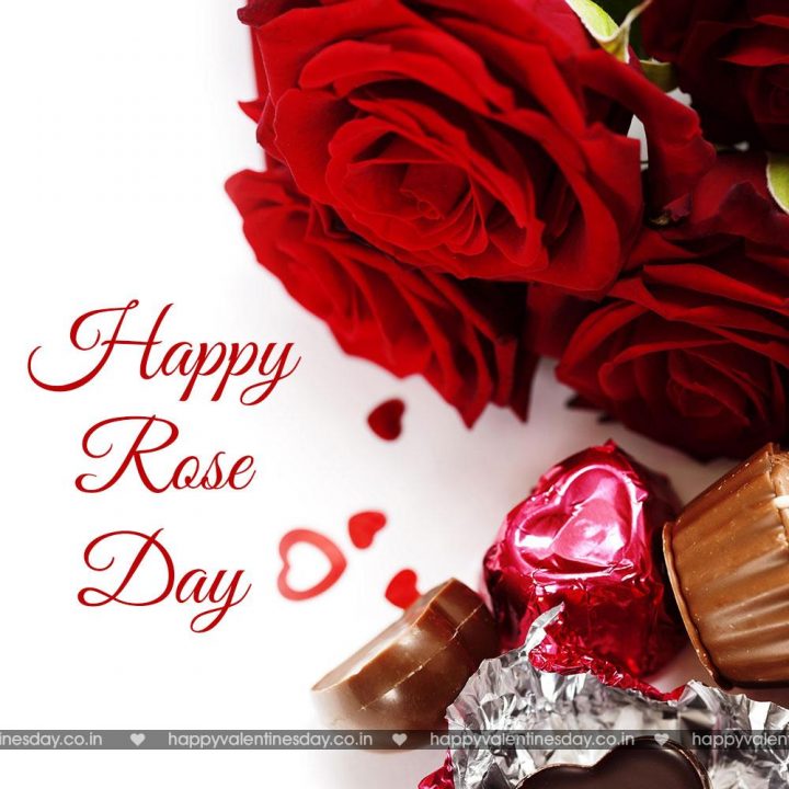 Rose Day – happy valentines day images download