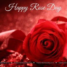 Rose Day – free ecards online