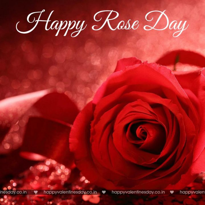 Rose Day – free ecards online