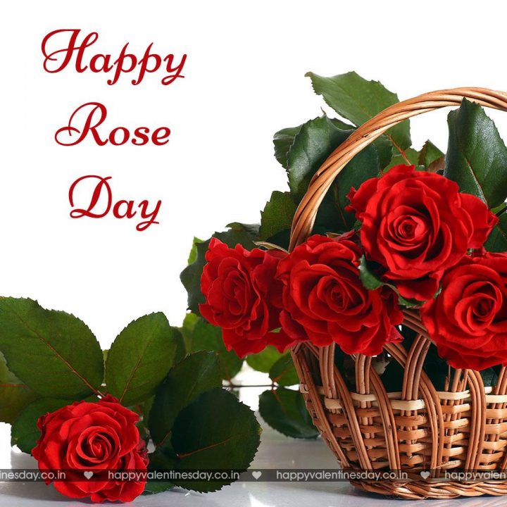 Rose Day – happy valentines day msg