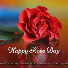 Rose Day – romantic ecards