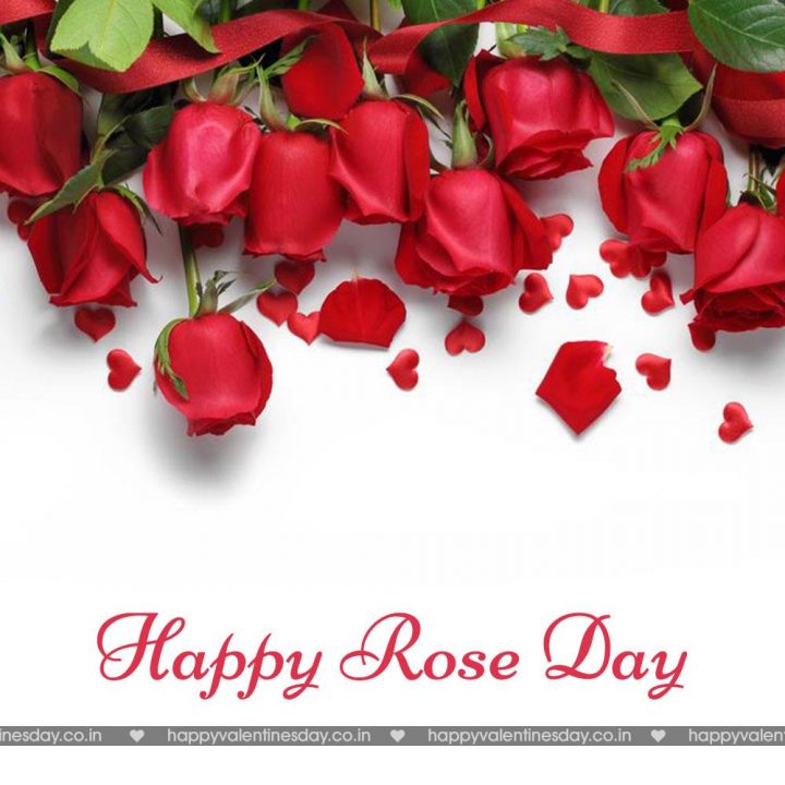 Rose Day – happy valentines day sign