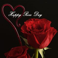 Rose Day – happy valentines day letter