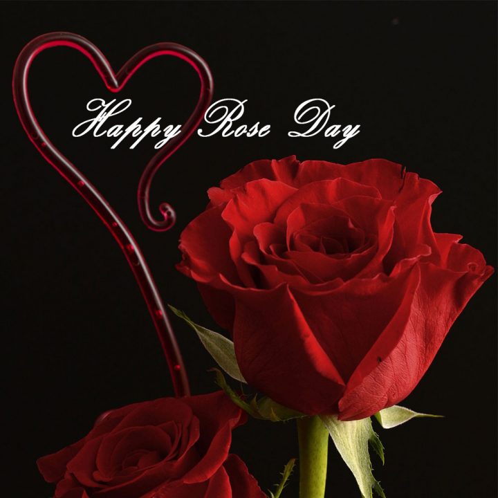Rose Day – happy valentines day letter