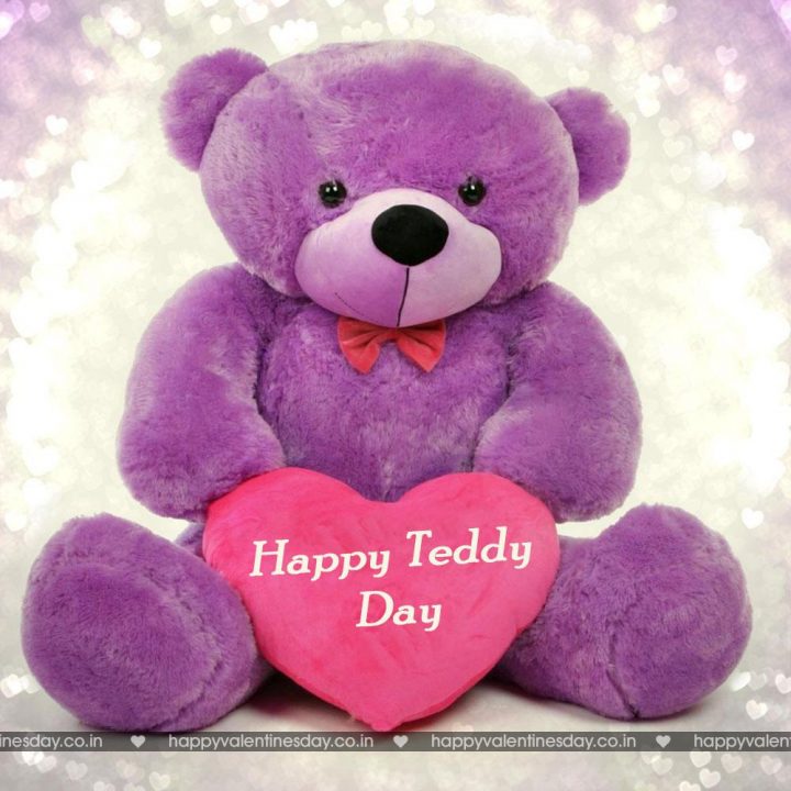 Teddy Day