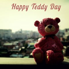 Teddy Day