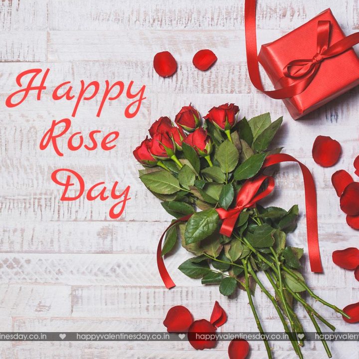Rose Day – thank you cards free