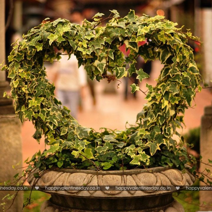 Love Messages – what is valentine day