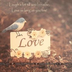Love Messages – happy valentines day in japanese