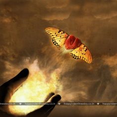 Love Messages – how to wish happy valentines day