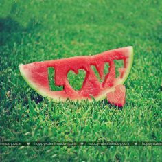 Love Messages – happy valentines day free cards