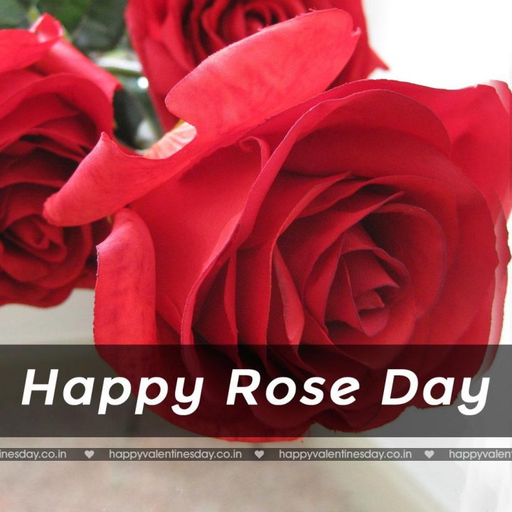 Rose Day