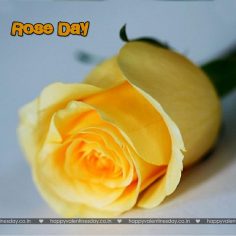 Rose Day – romantic cards