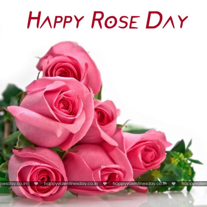 Rose Day