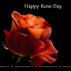 Rose Day – happy valentines day in japanese