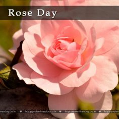Rose Day – happy valentines day photo