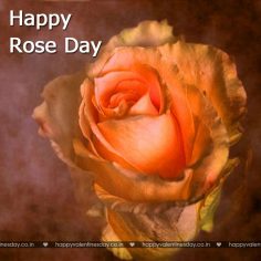 Rose Day – happy valentines day friend