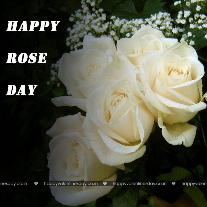 Rose Day