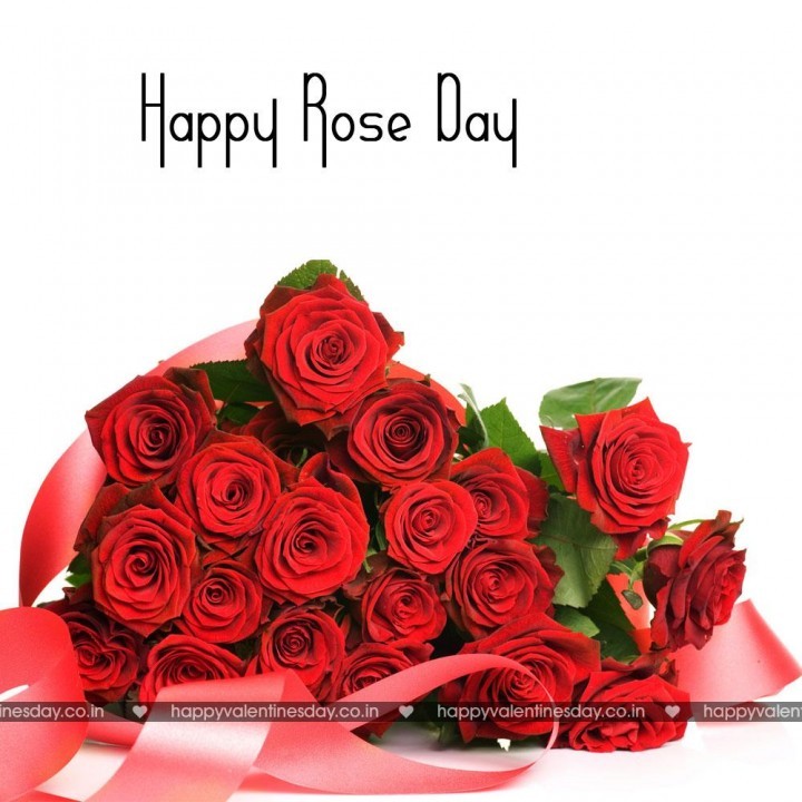 Rose Day