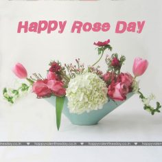 Rose Day